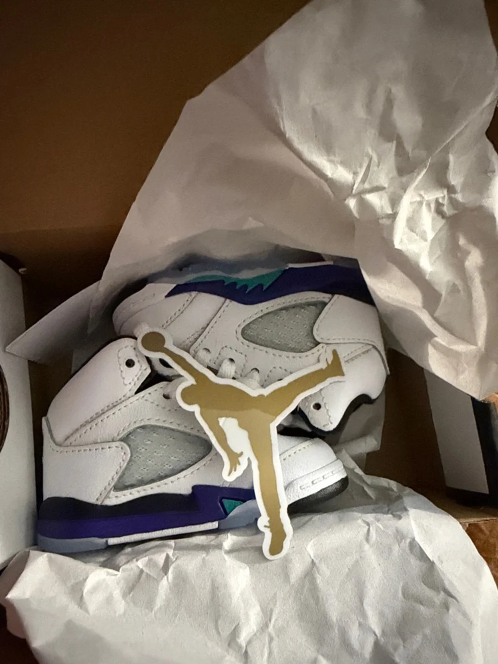 Jordan 5 Retro OG Toddlers “GRAPE” White Purple Turquoise Sneakers (Size 3)